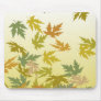 Autum Leaves