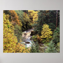 Autumn 11 blurred print
