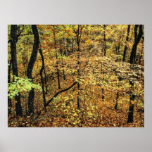 Autumn 14 blurred posters
