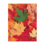 autumn (15)