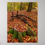 Autumn (1) posters