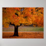 autumn (1)
