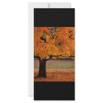 autumn (1)
