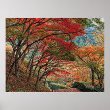 Autumn 26 bumped posters