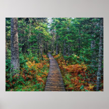 Autumn 29 bumped posters