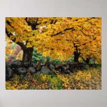 Autumn 2 blurred poster