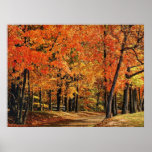 Autumn 30 print