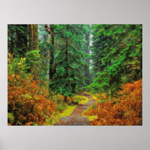 Autumn 31 blurred poster