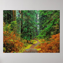 Autumn 31 bumped print