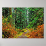 Autumn 31 posters