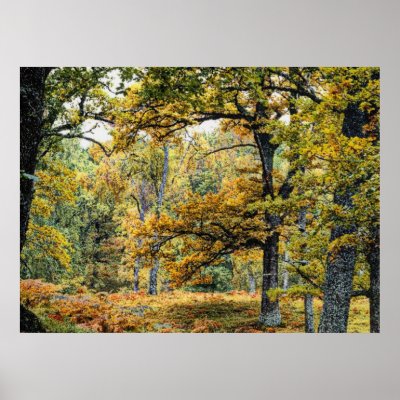 Autumn 34 print by xiornik