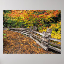 Autumn 35 blurred poster