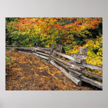 Autumn 35 bumped print