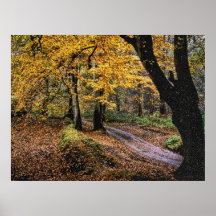 Autumn 36 bumped poster
