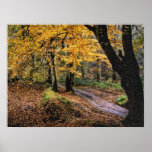 Autumn 36 posters