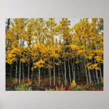 Autumn 3 blurred print