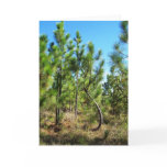 Autumn 3 card