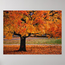 Autumn 4 blurred posters