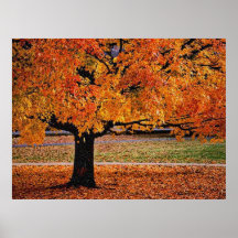 Autumn 4 bumped print