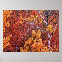 Autumn 6 blurred print