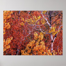Autumn 6 bumped print