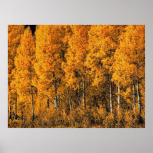 Autumn 7 blurred print