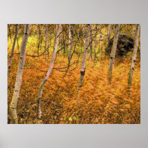 Autumn 8 bumped print