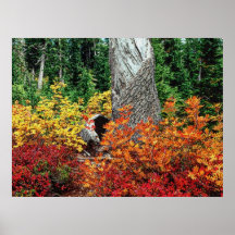Autumn 9 bumped posters