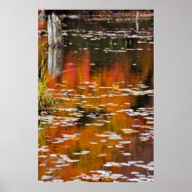 Autumn Abstract Art Print by Chris Gardiner