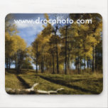 autumn afternoon mouse pad