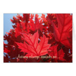 Autumn always reminds me... how blessed we are! greeting card