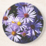 Autumn Asters Beverage Coaster