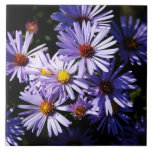 Autumn Asters Ceramic Tile Trivet