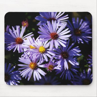 Autumn Asters Mousepad by littlewingdesign