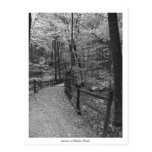 "Autumn at Blendon Woods" Postcard