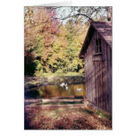 Autumn at Bronte Creek Cards