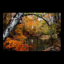 Autumn At Petrifying Springs posters