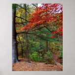 Autumn at Shark River Park Print