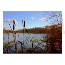 Autumn At Silver Lake #13 Greeting Card