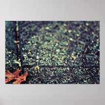 Autumn Awaits Posters