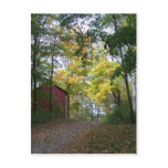 autumn barn