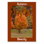 Autumn Beauty
