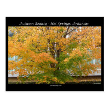 Autumn Beauty Hot Springs, Arkansas Apparel Gifts Postcard