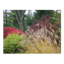 Autumn beauty in Ohio Post Card