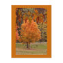 Autumn Beauty Post Card