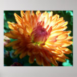 Autumn Beauty Posters