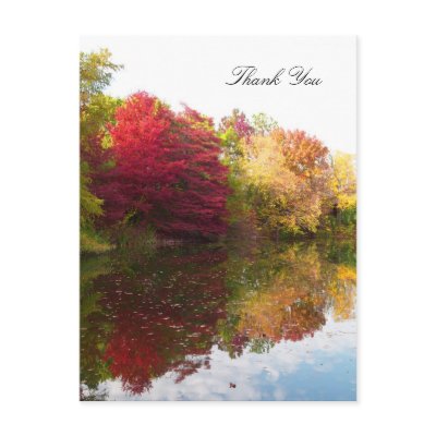 Autumn Beauty Sympathy Thank You Postcard by KathyHenis