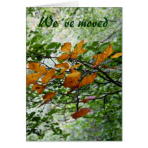 Autumn begins we´ve moved card