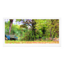 autumn bench photocard
