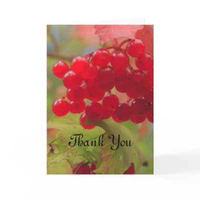 Autumn Berries Card by Welshpixels